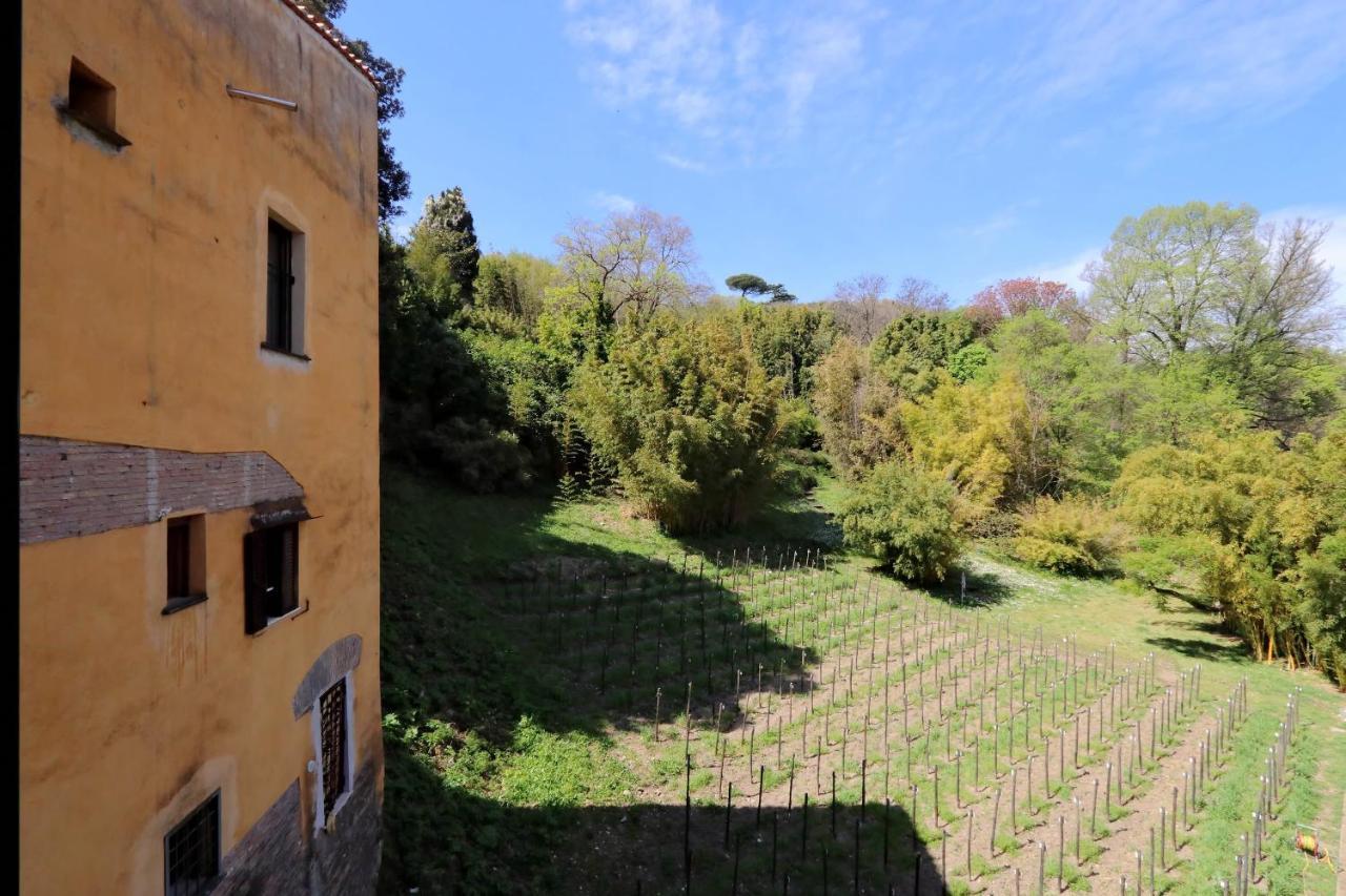 Il mulino di Trastevere - My Extra Home Roma Esterno foto